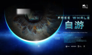 自由 300x180
